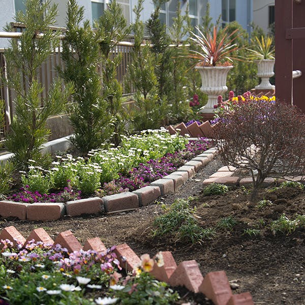 アプルール秦野 庭