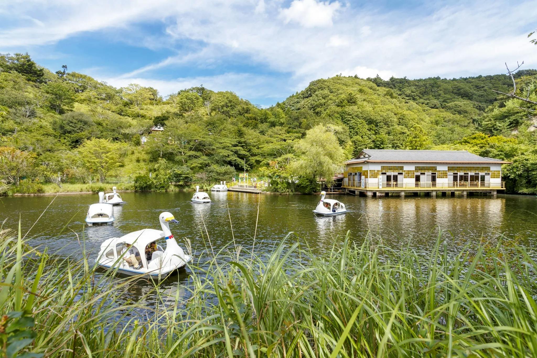 サン・ラポール南房総 レジャー施設「ロマンの森共和国」