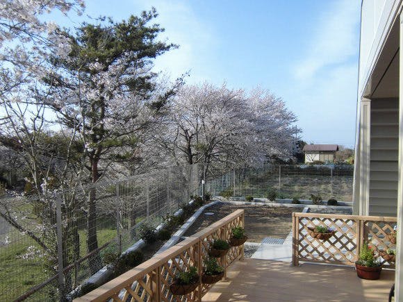 愛の家グループホーム市原能満 庭