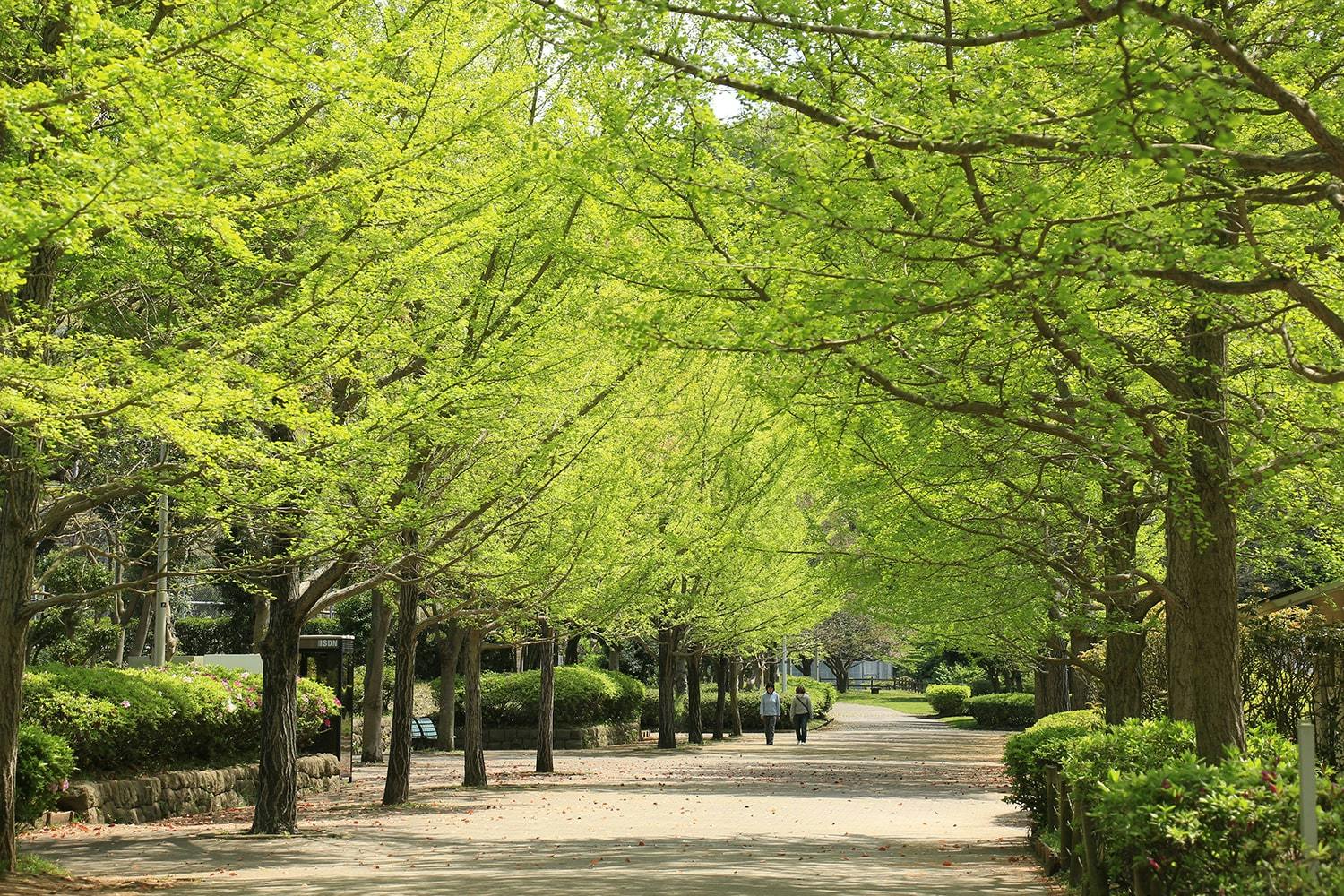 交欒 葉山一色 南郷上ノ山公園
