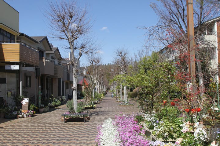 ヒュッテ荏田南 えだきん商店街