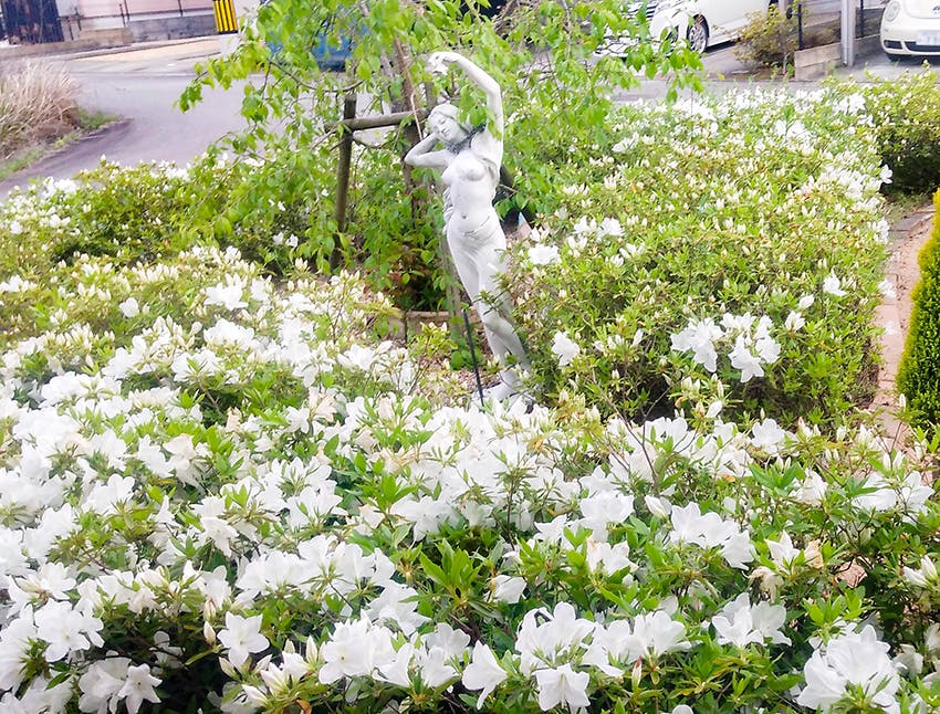 愛の家グループホームとうじょう 花壇