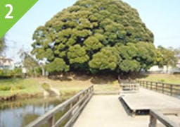 グッドタイムナーシングホーム・東浦和 井沼方公園