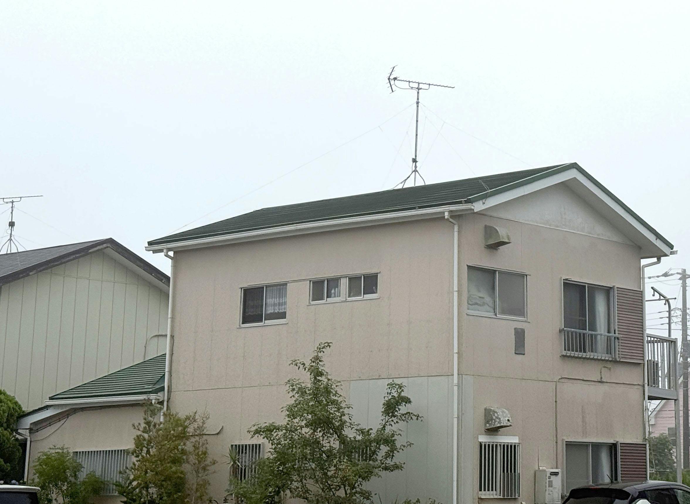 大きな木 外観