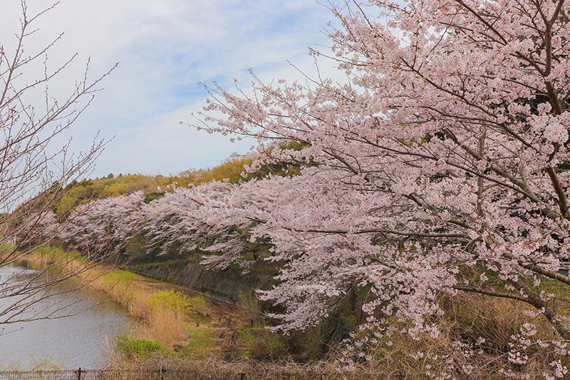 ミライアコート宮の杜 宮の杜公園