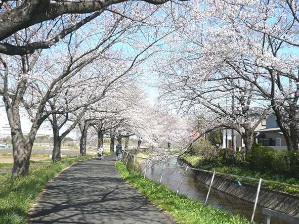 介護付有料老人ホームみんなの家・東浦和３ 川沿い