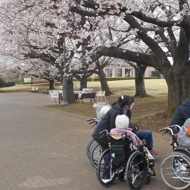 イリーゼ所沢西 お花見レク