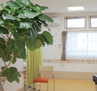 まごころ荘よつば館 植物