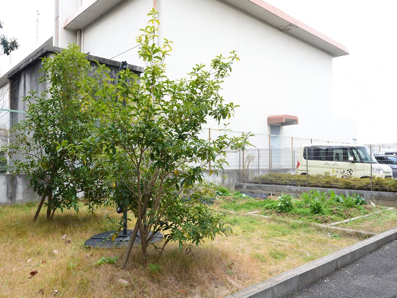 グループホームたのしい家藤井寺 菜園スペース