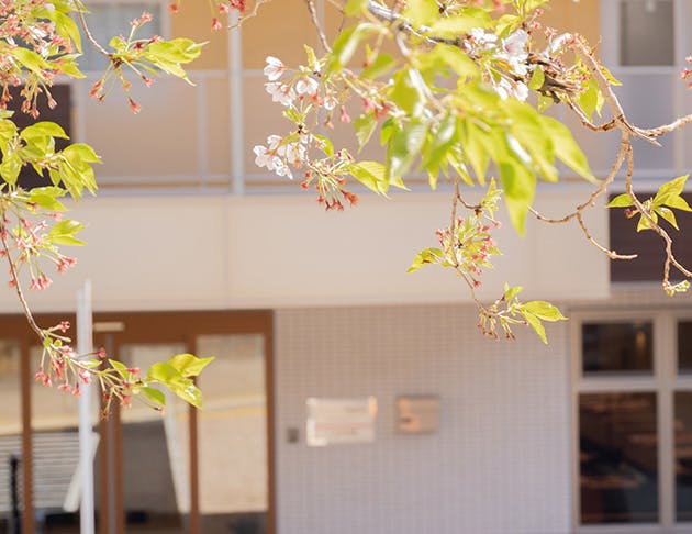 リアンレーヴ鶴巻温泉 外観