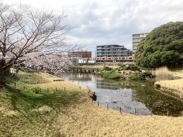 介護付有料老人ホームみんなの家・東浦和２ 見沼通船堀公園