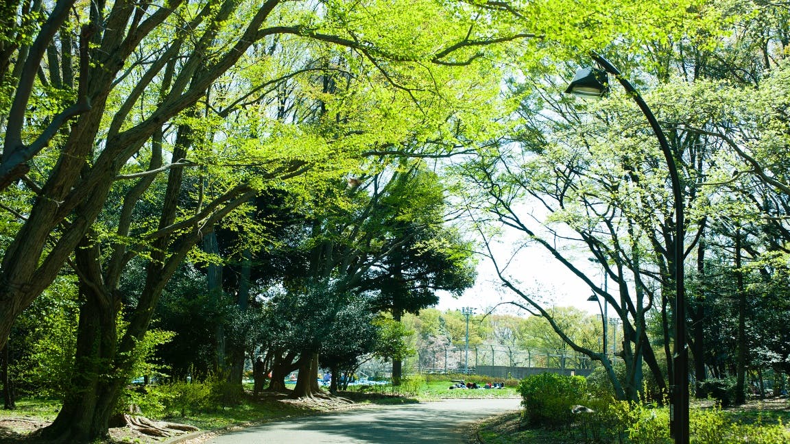 トラストガーデン等々力 駒沢公園
