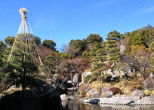 アライブ目白 目白庭園