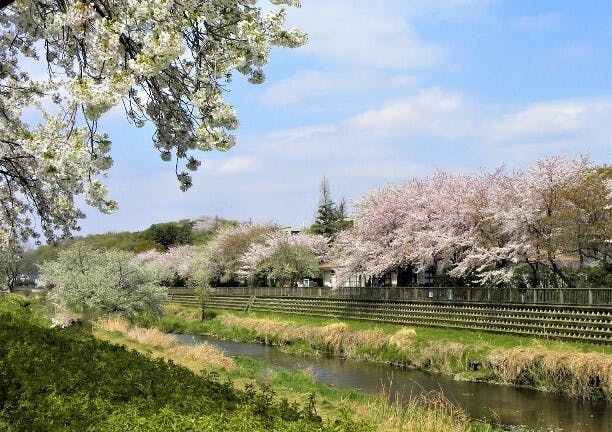 そんぽの家Ｓ成城西 野川