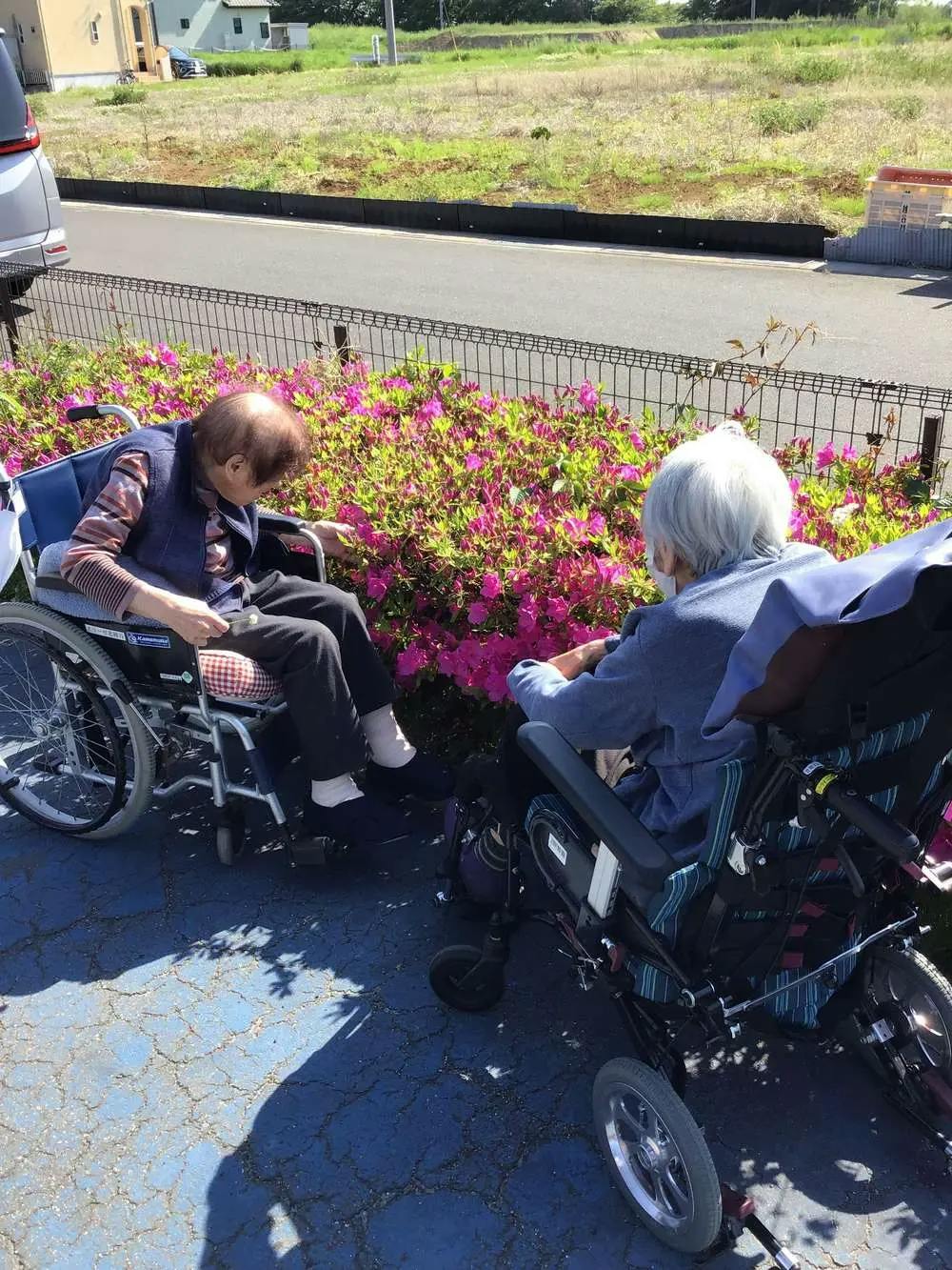 イリーゼ北越谷 お花見散歩