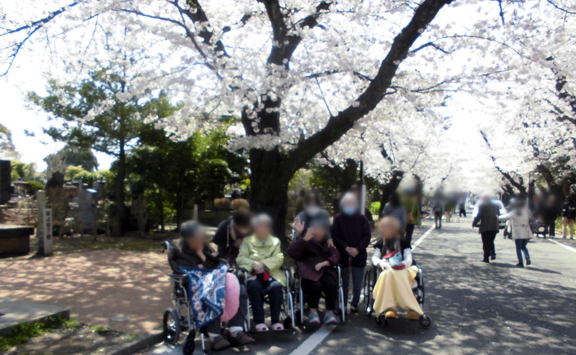 プレザングラン台東谷中 お花見
