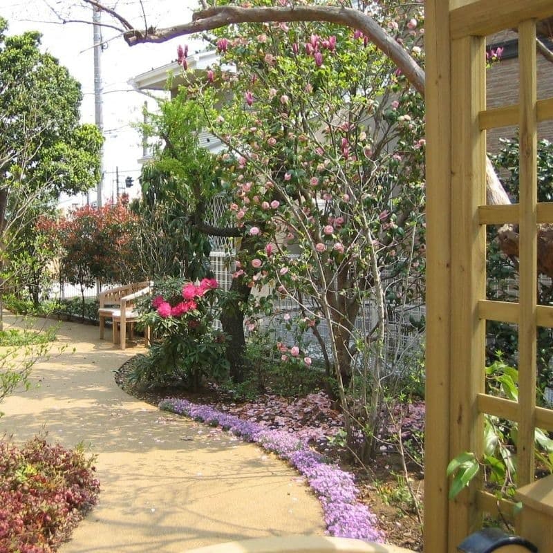 グランマ立川 家庭菜園