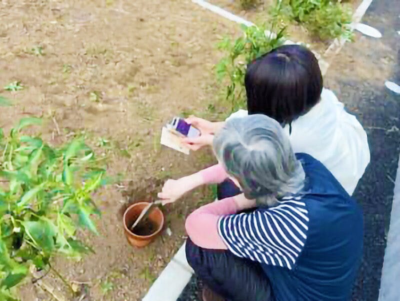 愛の家グループホーム松戸常盤平 菜園