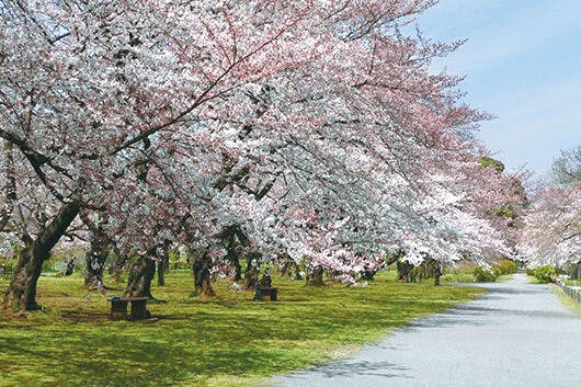 アズハイム文京白山 小石川植物園