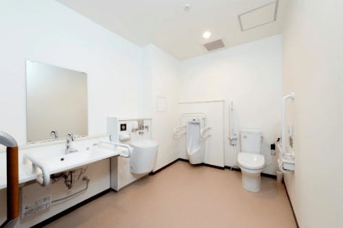 サービス付き高齢者向け住宅オアシスいちのみや 共用トイレ