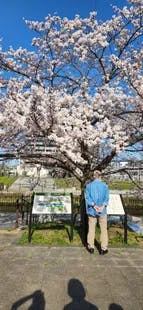 ココファン三郷中央 におどり公園