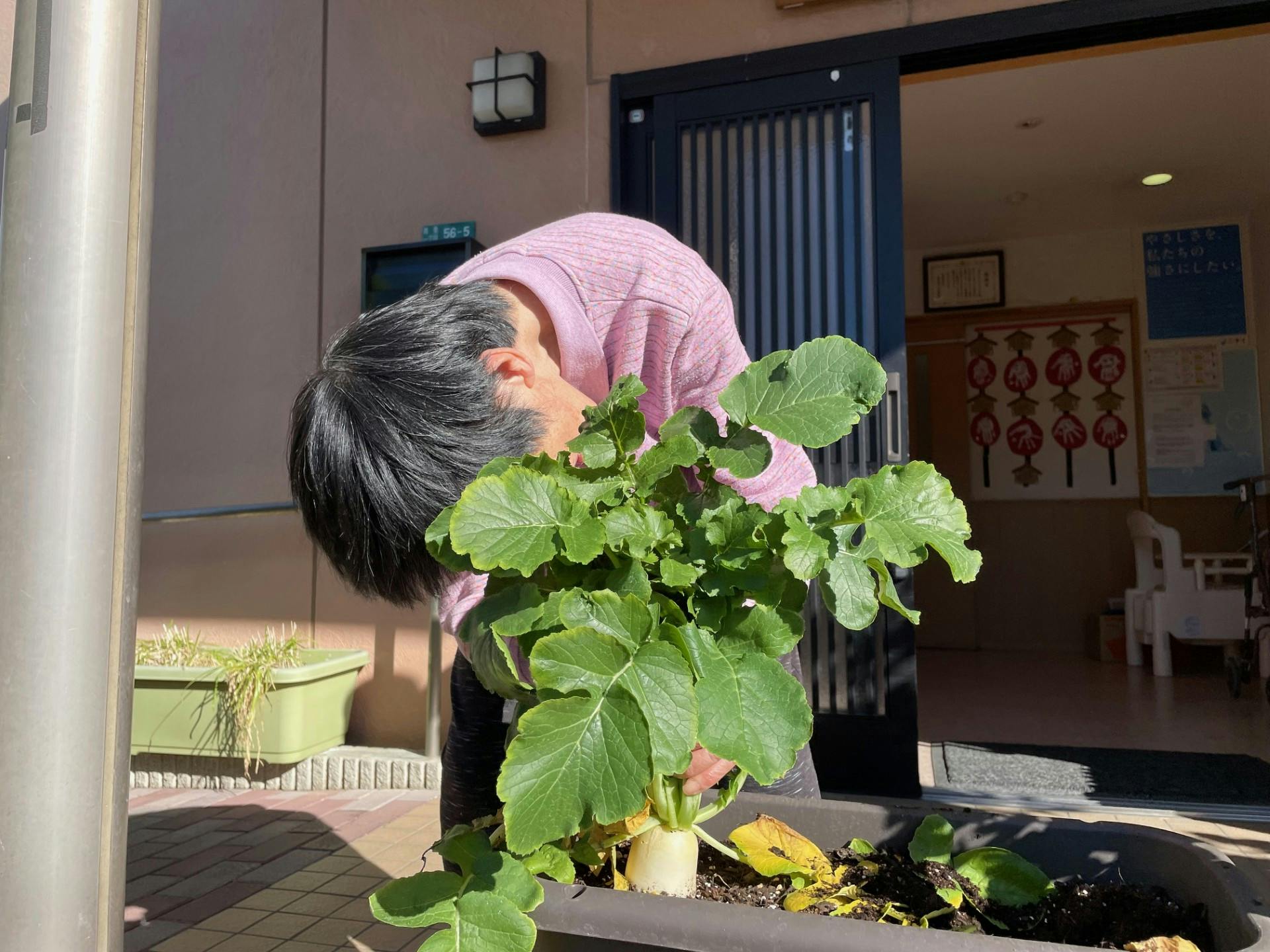 ニチイケアセンター一之江 菜園