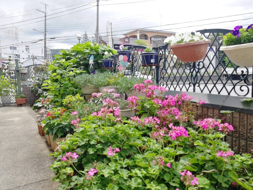 ソルケア大東深野 エントランス横の花壇