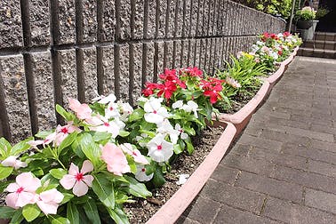 コミュニティホーム ホームハートピア神戸白水 花壇