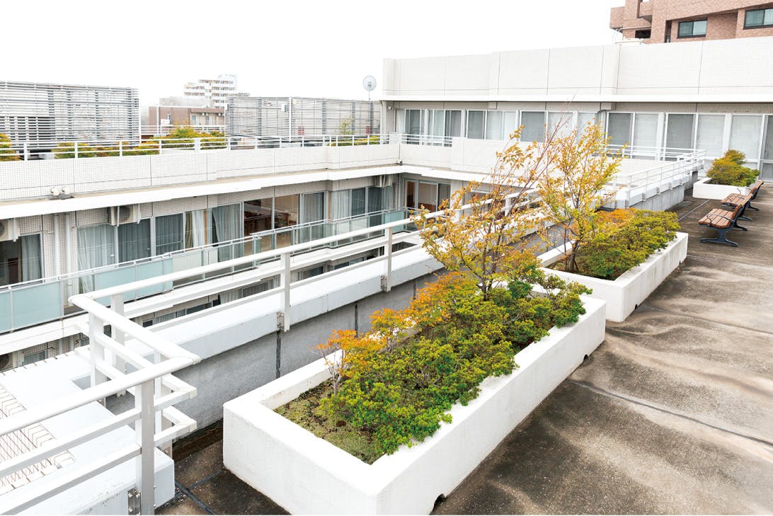 フェリオ多摩川 屋上