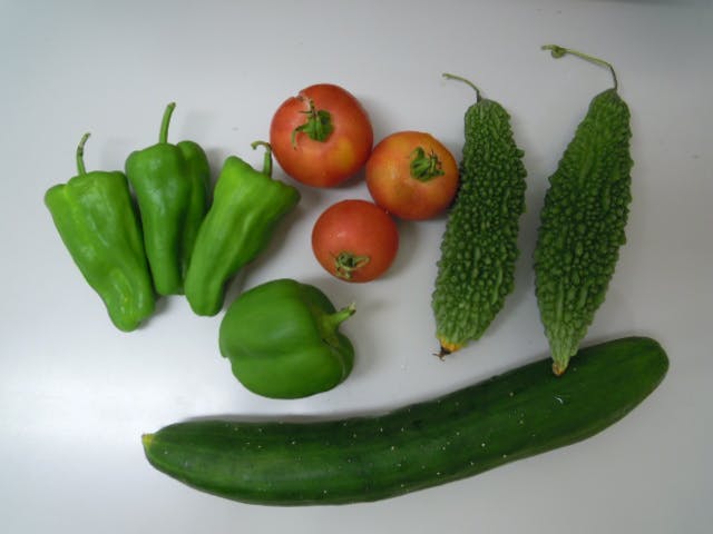 ニチイケアセンター東津田 野菜