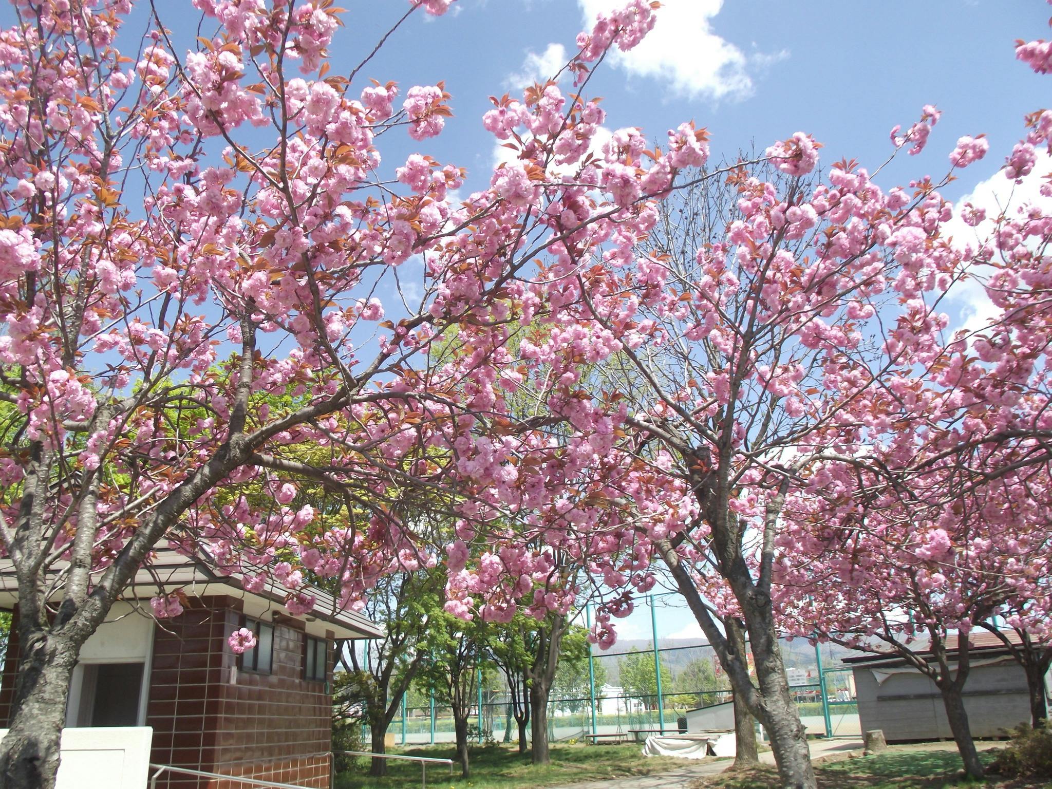 ライフシップ石川公園前 石川公園