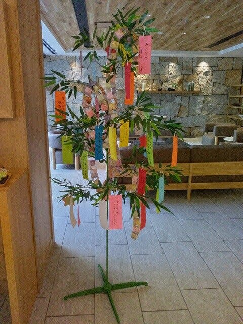 オリーブ・南千里 七夕