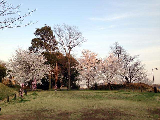 グループホームみんなの家・横浜茅ヶ崎東２ 茅ヶ崎城址公園