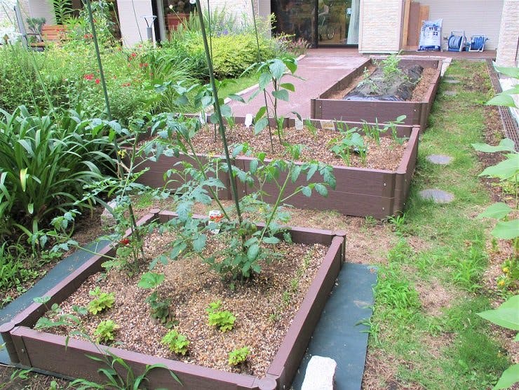 グランフォレスト学芸大学 菜園