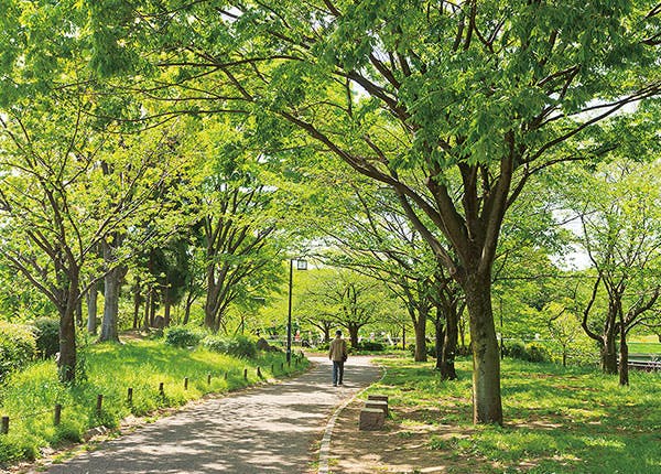 ウエリスオリーブ成城学園前ケアレジデンス 入間公園