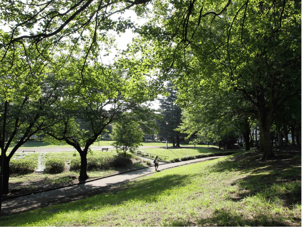 グランクレール美しが丘 美しが丘公園