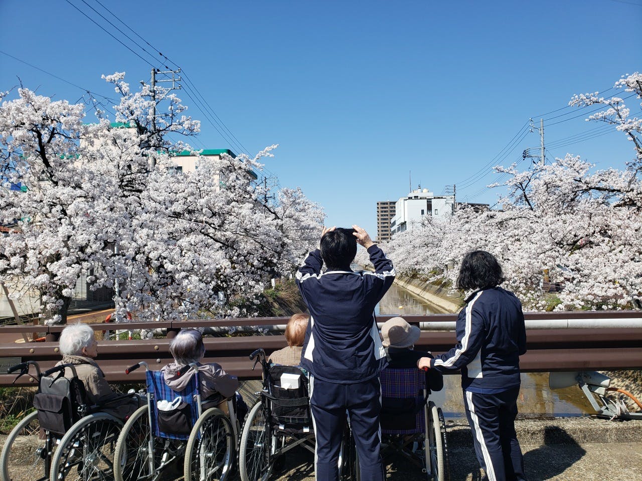アダージョ福住 お花見