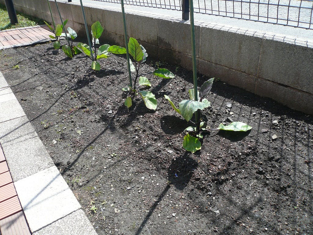 ニチイケアセンター相模原 菜園