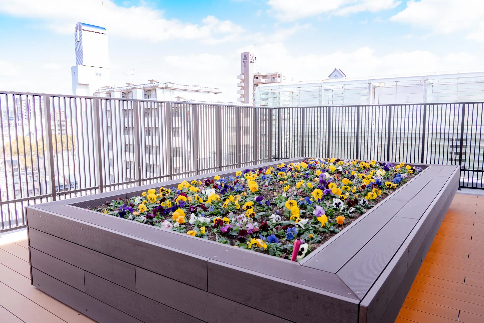 SOMPOケア ラヴィーレ平和大通り 青空庭園