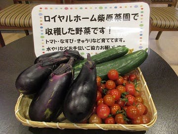 ロイヤルホーム柴原 収穫イベント