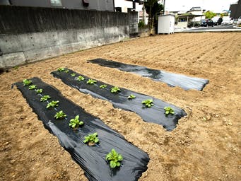 グループハウス三島谷田 畑