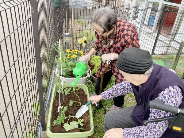 グループホームみんなの家・春日部やなか 菜園