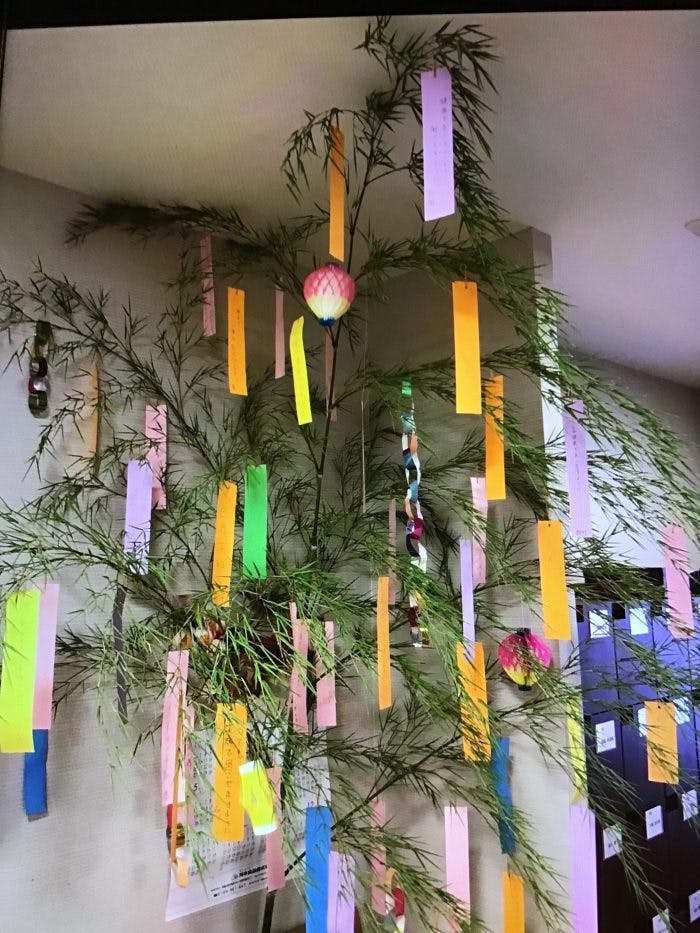 イリーゼ船橋塚田・新館 七夕