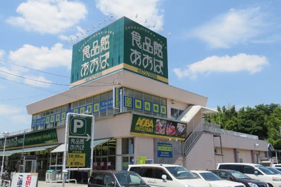 ヒューマンヒルズ初山 食品館あおば