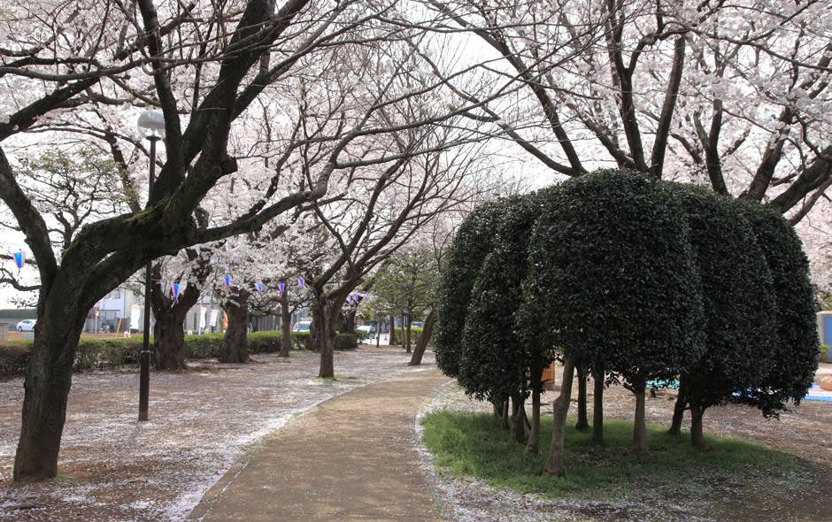 あずみ苑グランデ三咲 御滝公園