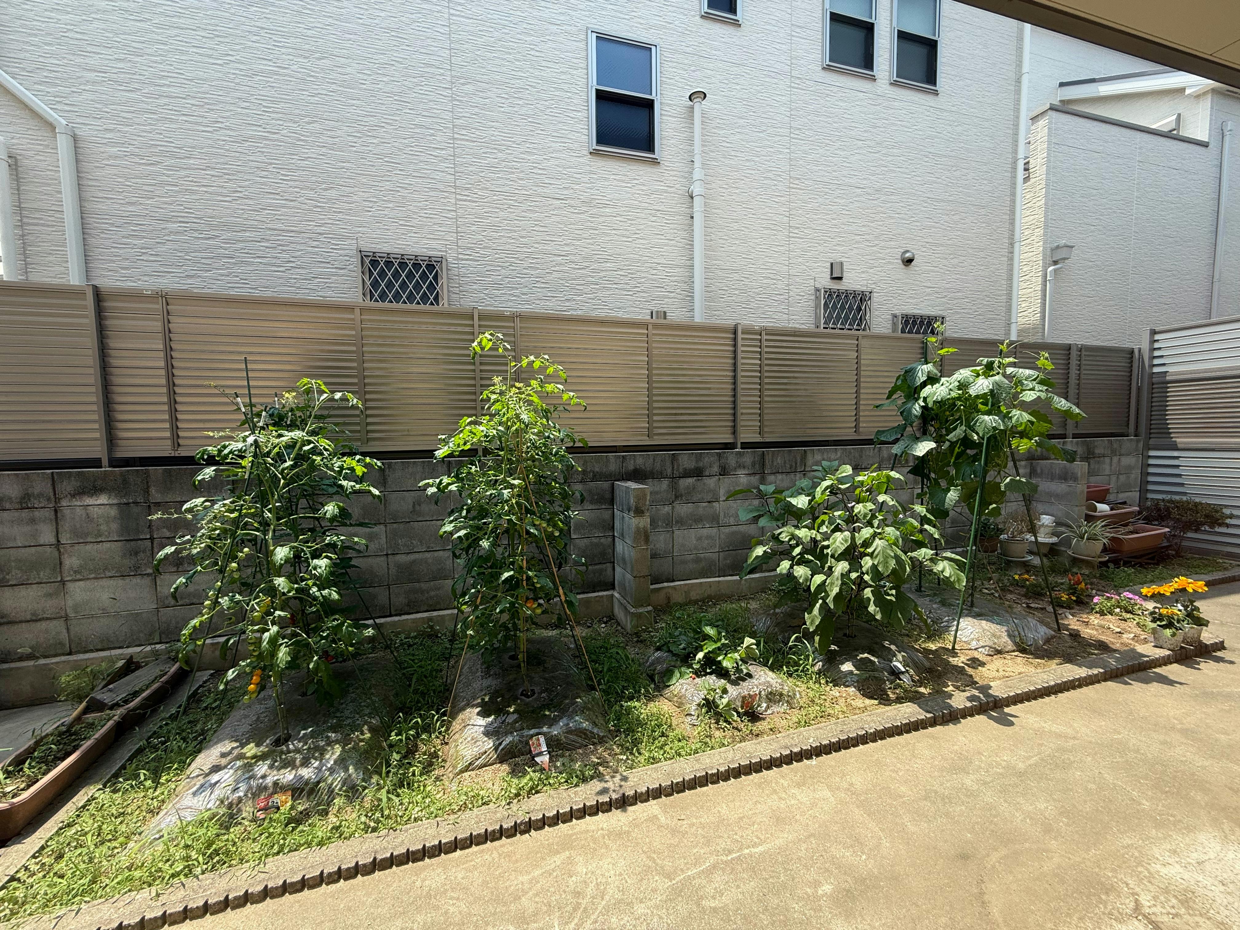 次屋の郷いな穂 家庭菜園
