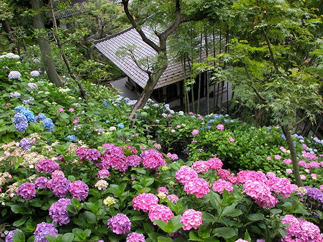 パークウェルステイト湘南藤沢SST 長谷寺