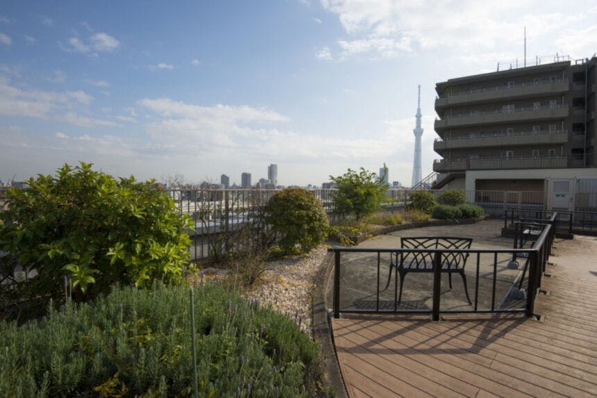 そんぽの家隅田公園 屋上