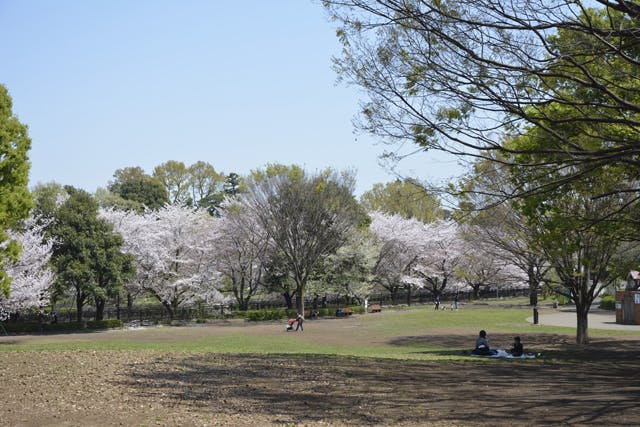 グランドマスト成城北 祖師谷公園