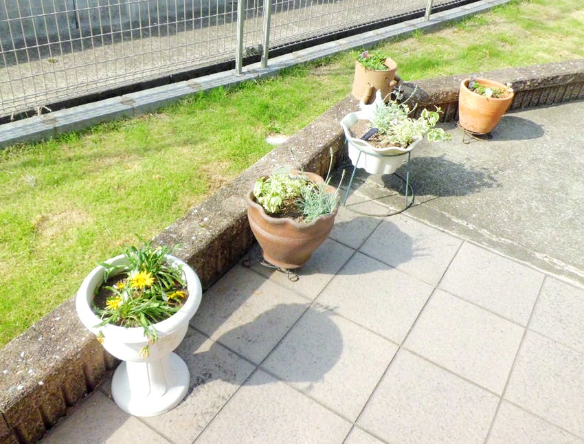 愛の家グループホーム可児土田 プランター
